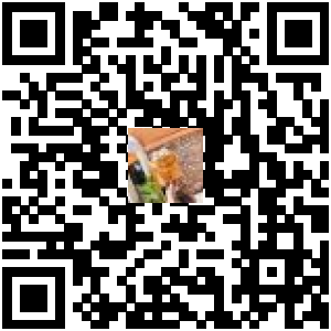 Code QR du produit