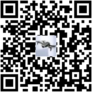 Code QR du produit