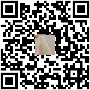 Code QR du produit
