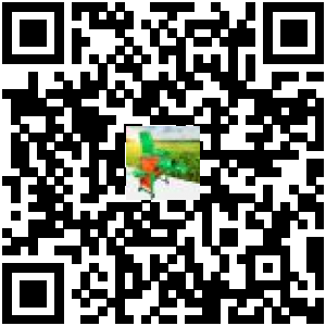 Code QR du produit