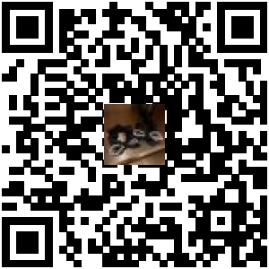 Code QR du produit