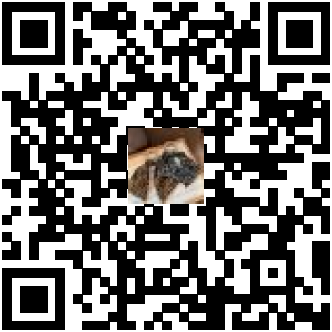 Code QR du produit
