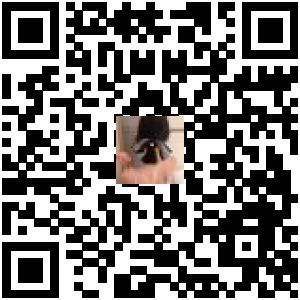 Code QR du produit
