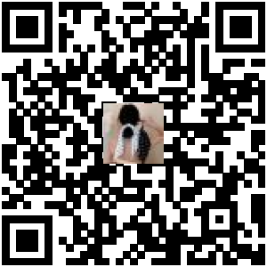 Code QR du produit
