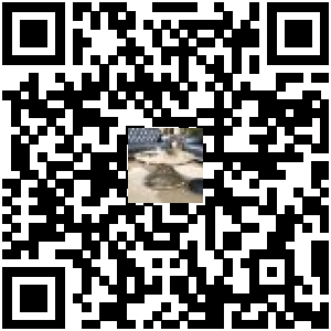 Code QR du produit