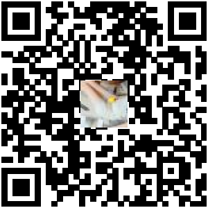 Code QR du produit
