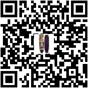 Code QR du produit