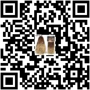 Code QR du produit