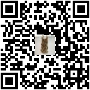 Code QR du produit