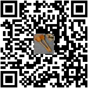 Code QR du produit