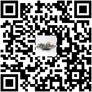 Code QR du produit