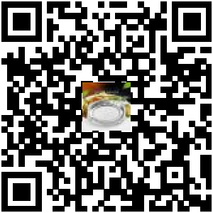 Code QR du produit