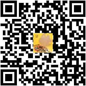Code QR du produit
