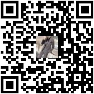 Code QR du produit