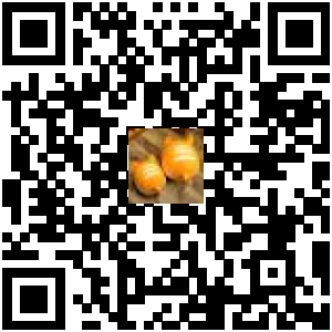 Code QR du produit