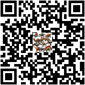 Code QR du produit