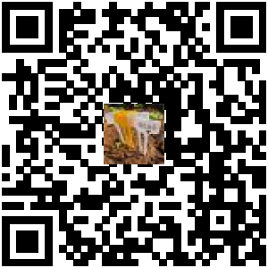 Code QR du produit