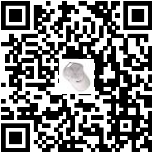 Code QR du produit