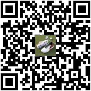 Code QR du produit