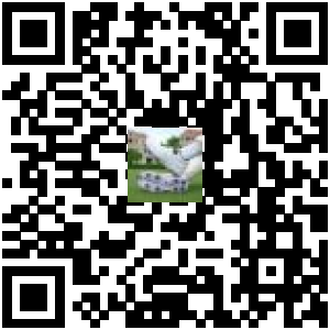 Code QR du produit