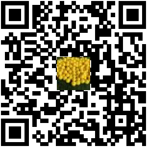Code QR du produit