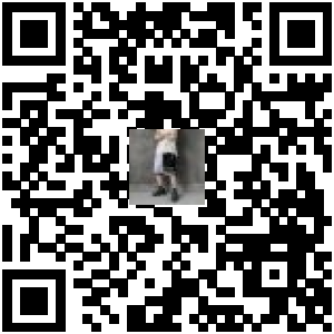 Code QR du produit