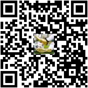 Code QR du produit