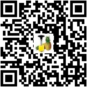 Code QR du produit