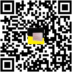 Code QR du produit