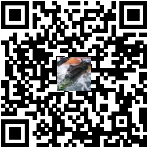 Code QR du produit