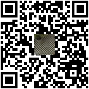 Code QR du produit