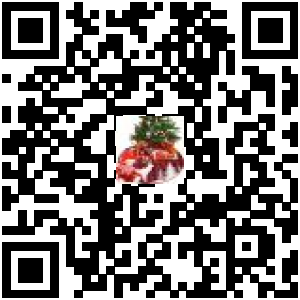 Code QR du produit