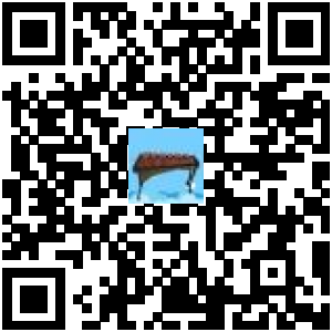 Code QR du produit