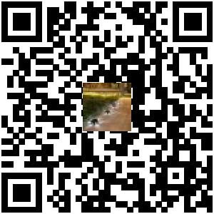 Code QR du produit