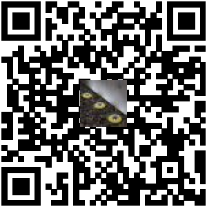 Code QR du produit