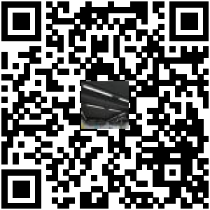 Code QR du produit