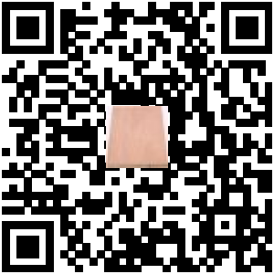 Code QR du produit