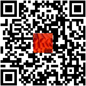 Code QR du produit