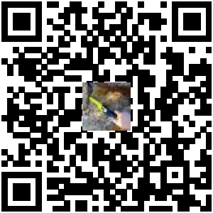 Code QR du produit