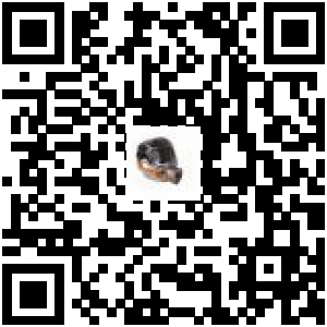 Code QR du produit