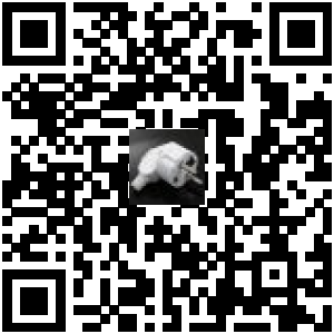 Code QR du produit