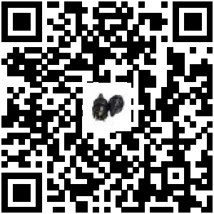 Code QR du produit