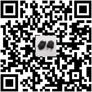 Code QR du produit