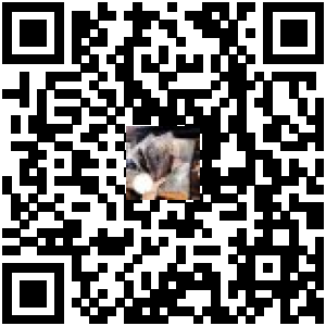 Code QR du produit