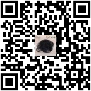 Code QR du produit