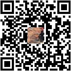 Code QR du produit