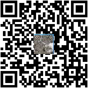 Code QR du produit