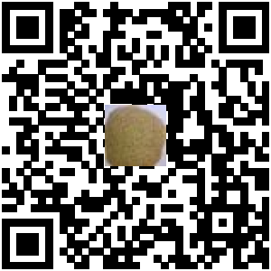 Code QR du produit
