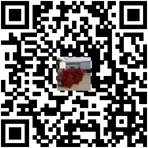 Code QR du produit