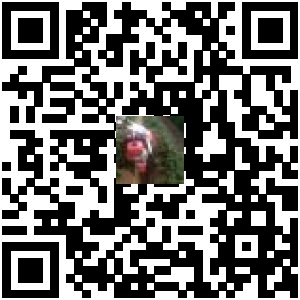 Code QR du produit